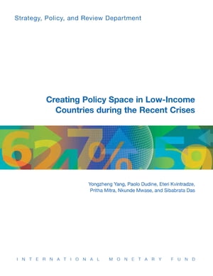 Creating Policy Space in Low-Income Countries during the Recent Crises
