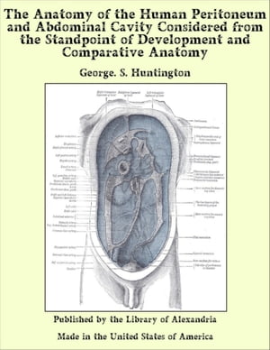 The Anatomy of the Human Peritoneum and Abdominal Cavity Considered from the Standpoint of Development and Comparative Anatomy