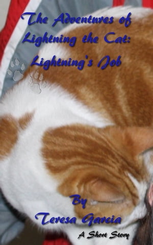 The Adventures of Lightning the Cat: Lightning's Job