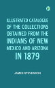 Illustrated Catalogue of the Collections Obtained from the Indians of New Mexico...