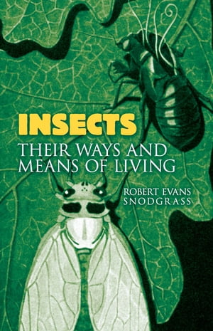 Insects