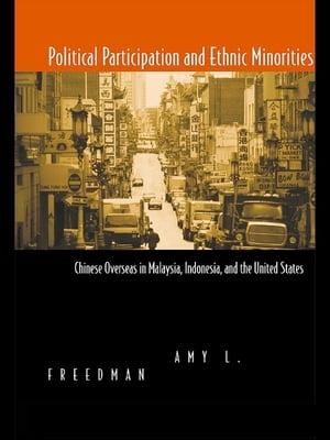 Political Participation and Ethnic Minorities