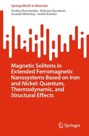 Magnetic Solitons in Extended Ferromagnetic Nanosy