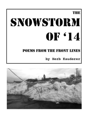 The Snowstorm of '14 Poems from the Front Lines【電子書籍】[ Herb Kauderer ]