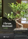 ŷKoboŻҽҥȥ㤨Ficus Bonsai GuideŻҽҡ[ Bonsai Empire ]פβǤʤ363ߤˤʤޤ