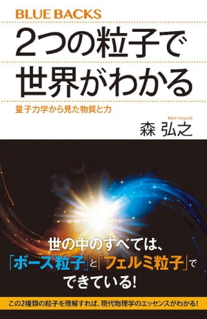 2つの粒子で世界がわかる　量子力学から見た物質と力【電子書籍】[ 森弘之 ]