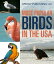 Most Popular Birds In The USA