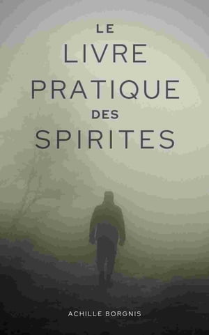 Le livre pratique des spirites