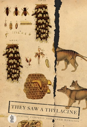 They Saw a Thylacine【電子書籍】[ Justine Campbell ]
