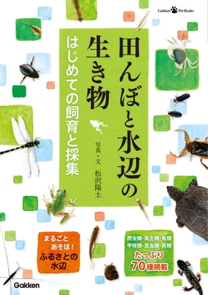 田んぼと水辺の生き物 はじめての飼育と採集