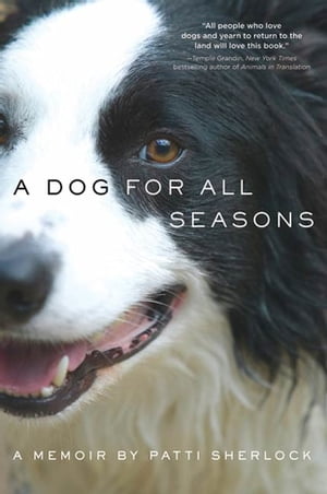 ＜p＞＜em＞＜strong＞A love letter to the working dog, this heartwarming memoir about life on a sheep farm captures the joys and heartbreak of loving a pet＜/strong＞＜/em＞＜/p＞ ＜p＞Patti Sherlock's working relationship with her Border Collie, Duncan, got her through the ups and downs of sixteen years on a sheep farm in Idaho. During that time, Duncan was an unwavering companion through the destruction of Patti's marriage, her children inevitably leaving home one by one, and eventually, her decision to stop raising sheep. Patti's life on the farm is a reflection of beginnings and endings, and the cycle of seasons in all of our lives.＜/p＞画面が切り替わりますので、しばらくお待ち下さい。 ※ご購入は、楽天kobo商品ページからお願いします。※切り替わらない場合は、こちら をクリックして下さい。 ※このページからは注文できません。