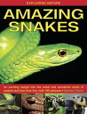 Amazing Snakes An Exciting Insight Into the Weird and Wonderful World of Snakes ...