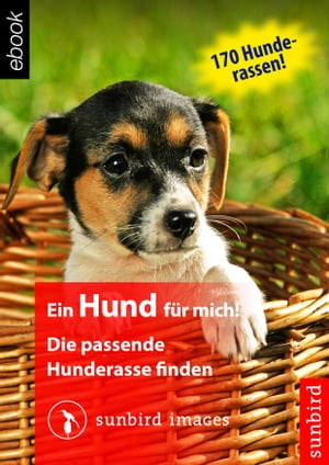 Ein Hund für mich! Die passende Hunderasse finden