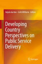 Developing Country Perspectives on Public Service Delivery【電子書籍】