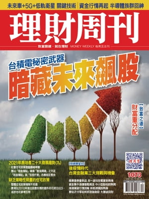 理財周刊1073期：暗藏未來飆股