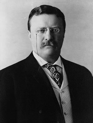 ŷKoboŻҽҥȥ㤨African and European AddressesŻҽҡ[ Theodore Roosevelt ]פβǤʤ162ߤˤʤޤ