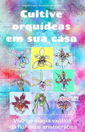 Cultive orquídeas em sua casa. Viva na magia exótica da flor mais aristocrática