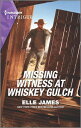 Missing Witness at Whiskey Gulch【電子書籍