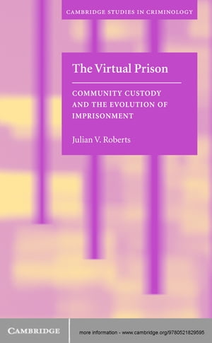 The Virtual Prison