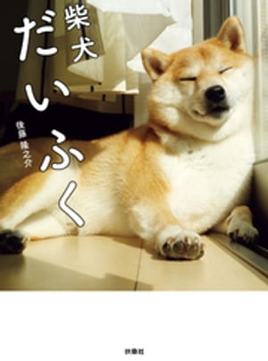 柴犬だいふく