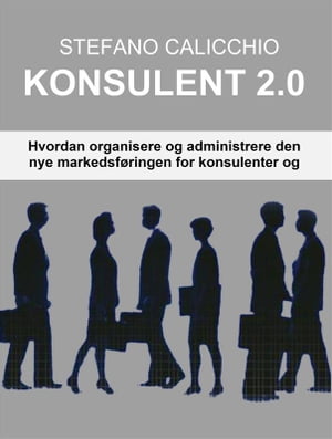 Konsulent 2.0