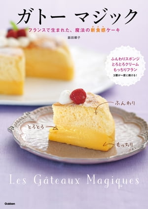 ガトー マジック 〜フランスで生まれた、魔法の新食感ケーキ〜