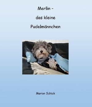 Merlin - das kleine Pudelm?nnc