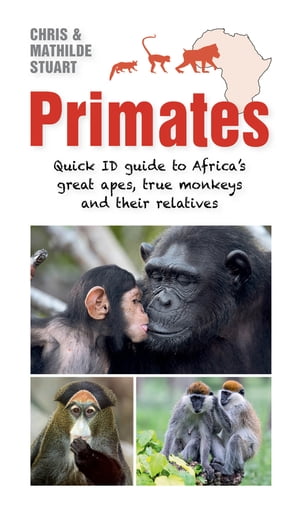 Primates