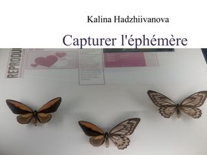 Capturer l'éphémère