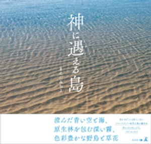 神に遇える島【電子書籍】[ まえだ