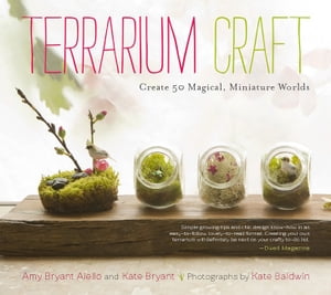 Terrarium Craft