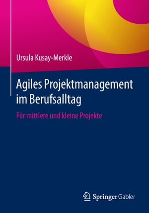 Agiles Projektmanagement im Berufsalltag F?r mittlere und kleine Projekte
