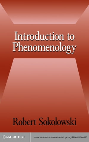 Introduction to Phenomenology