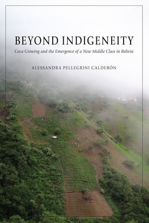 Beyond Indigeneity
