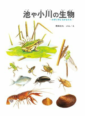 池や小川の生物