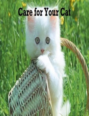 Care for Your Cat