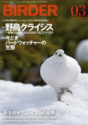 BIRDER2016年3月号