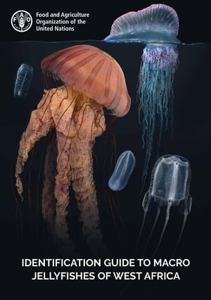 Identification Guide to Macro Jellyfishes of West Africa