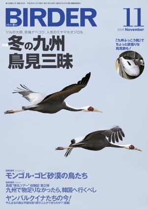 BIRDER2016年11月号