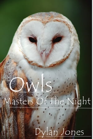 ŷKoboŻҽҥȥ㤨Owls Masters Of The NightŻҽҡ[ Dylan Jones ]פβǤʤ466ߤˤʤޤ
