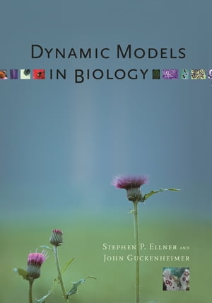 ŷKoboŻҽҥȥ㤨Dynamic Models in BiologyŻҽҡ[ Stephen P. Ellner ]פβǤʤ11,217ߤˤʤޤ