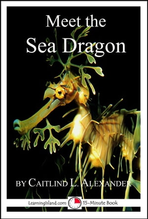 Meet the Sea Dragon: A 15-Minute Book for Early Readers