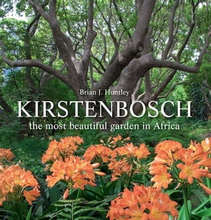 Kirstenbosch - the most beautiful garden in Africa