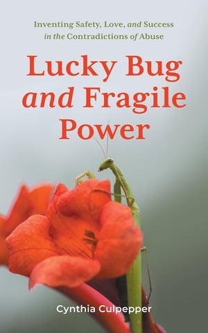 Lucky Bug and Fragile Power Inventing Safety, Love, and Success in the Contradictions of Abuse