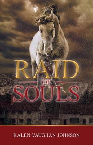 Raid of Souls The Empire Barons, #2Żҽҡ[ Kalen Vaughan Johnson ]