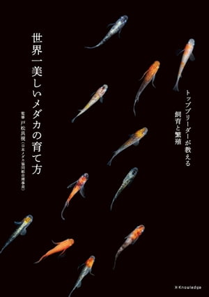 戸松具視
