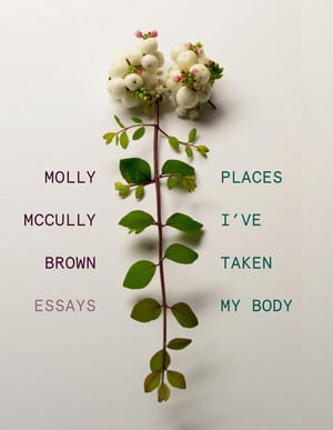 Places I've Taken My Body: Essays