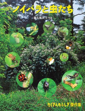 ノイバラと虫たち【電子書籍】[ 藤丸篤夫 ]