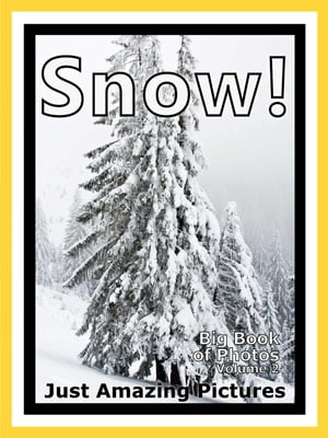 Just Snow Photos! Big Book of Photographs & Pictures of Snow, Vol. 2