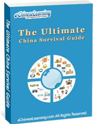 Learn Chinese with eChineseLearning's eBook